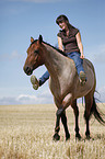 Quarter Horse