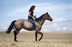 Quarter Horse