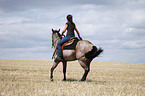 western riding horsewoman