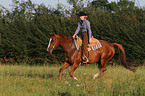woman rides Quarter Horse