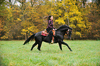 woman rides Quarter Horse