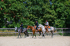 western riders with horses