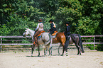 western riders with horses