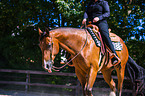 woman rides Quarter Horse