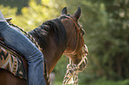 Quarter Horse Portrait