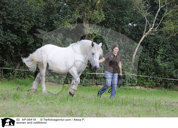Frau und Rheinisch Deutsches Kaltblut / woman and coldblood / AP-06419