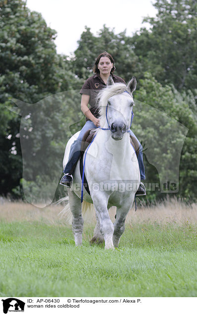 Frau reitet Rheinisch Deutsches Kaltblut / woman rides coldblood / AP-06430