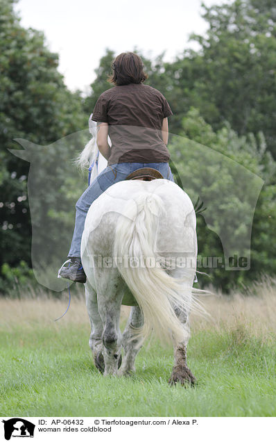 Frau reitet Rheinisch Deutsches Kaltblut / woman rides coldblood / AP-06432