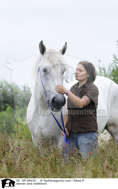 Frau und Rheinisch Deutsches Kaltblut / woman and coldblood / AP-06435