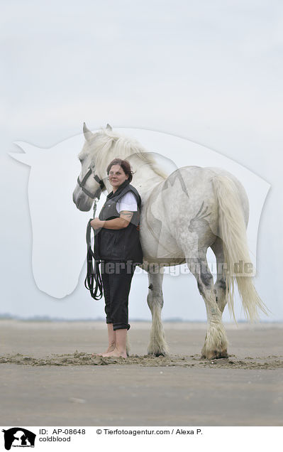 coldblood / AP-08648