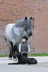kid, dog and horse