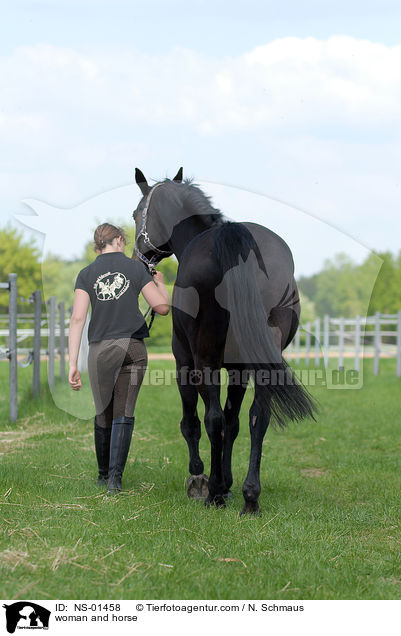 Frau und Rheinlnder / woman and horse / NS-01458