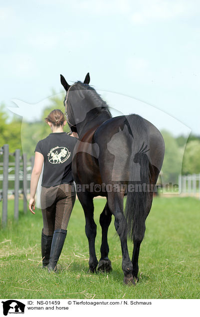 Frau und Rheinlnder / woman and horse / NS-01459