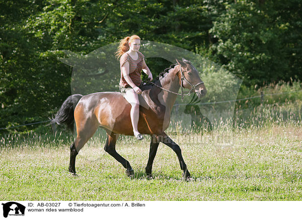 woman rides warmblood / AB-03027