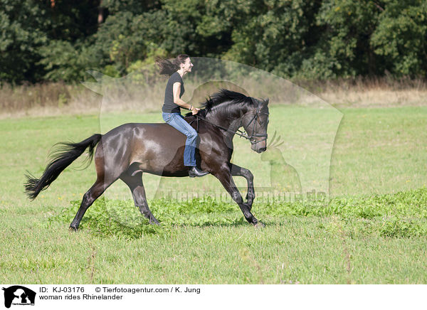 Frau reitet Rheinlnder / woman rides Rhinelander / KJ-03176