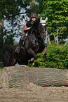 jumping horse