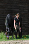 woman and horse