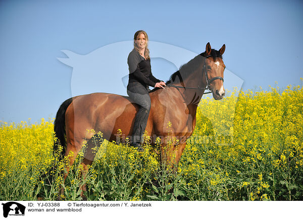 woman and warmblood / YJ-03388