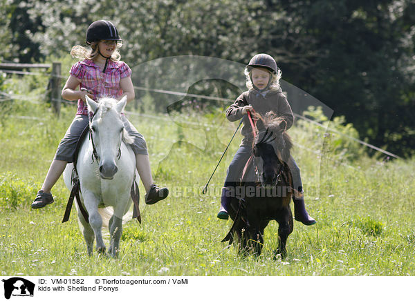 Kinder mit Shetland Ponys / kids with Shetland Ponys / VM-01582