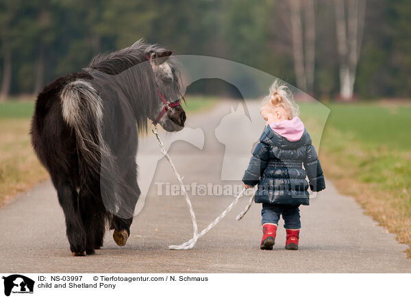 child and Shetland Pony / NS-03997