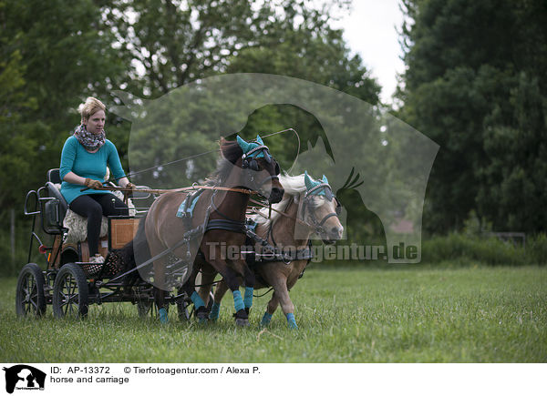 horse and carriage / AP-13372