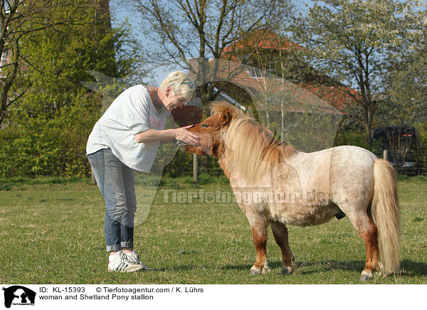 Frau und Shetland Pony Hengst / woman and Shetland Pony stallion / KL-15393