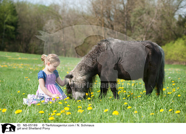 girl and Shetland Pony / NS-05189