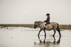 girl rides Shetland Pony
