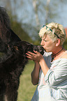 Shetland Pony foal