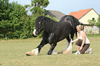 woman with Shire Horse