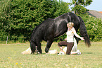 woman with Shire Horse