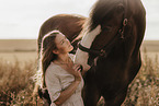 Shire Horse stallion