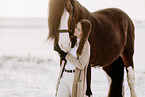 Shire Horse stallion