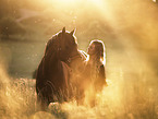whole-blood horse