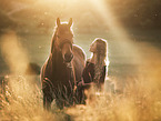 whole-blood horse