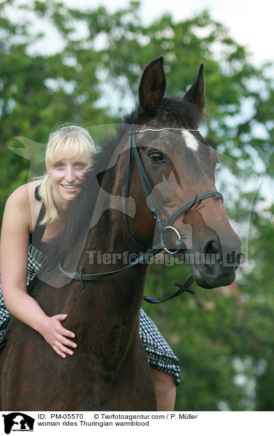 Frau reitet Thringer Warmblut / woman rides Thuringian warmblood / PM-05570