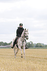 woman rides Tiger Horse