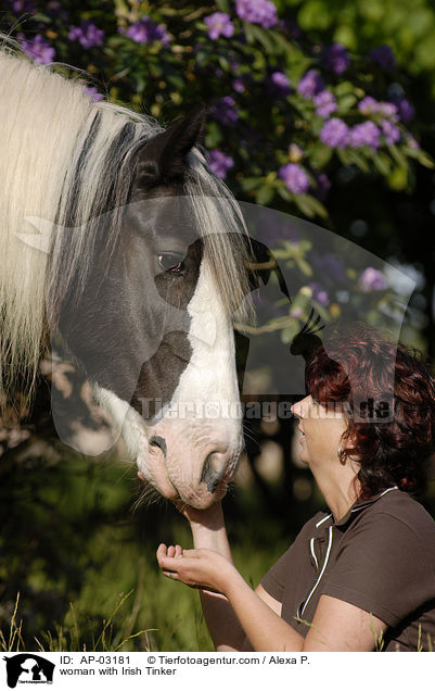 Frau mit Tinker / woman with Irish Tinker / AP-03181