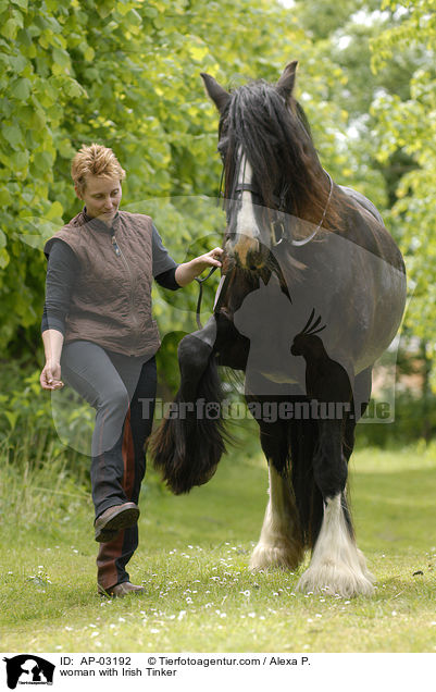Frau mit Tinker / woman with Irish Tinker / AP-03192