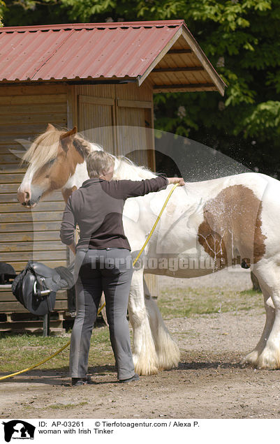 woman with Irish Tinker / AP-03261
