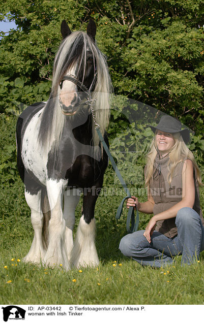 Frau mit Tinker / woman with Irish Tinker / AP-03442