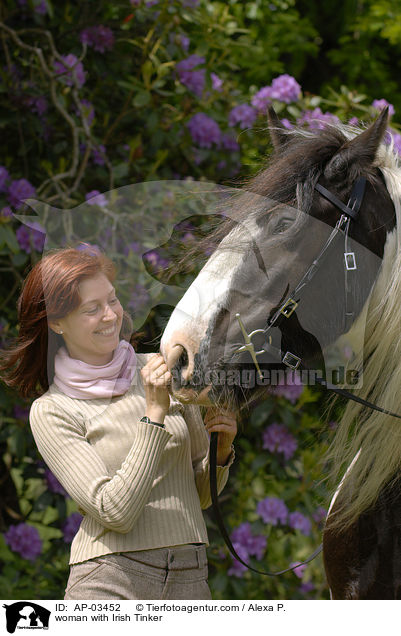 Frau mit Tinker / woman with Irish Tinker / AP-03452