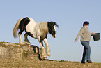 woman with Irish Tinker