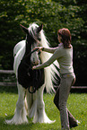 woman with Irish Tinker