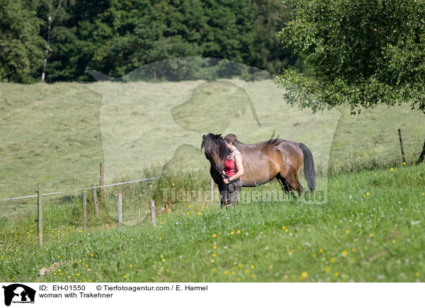 Frau fhrt Trakehner / woman with Trakehner / EH-01550