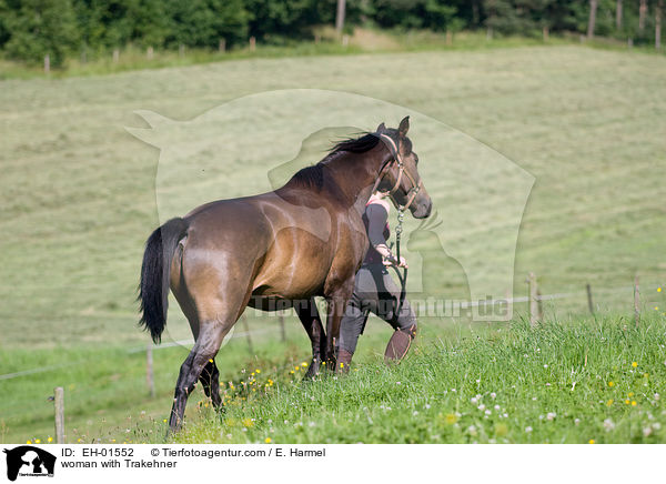 Frau fhrt Trakehner / woman with Trakehner / EH-01552