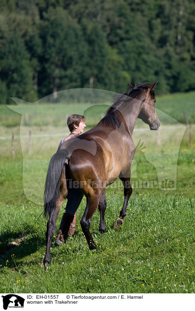 woman with Trakehner / EH-01557