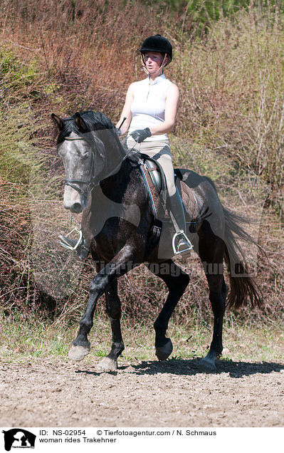 Frau reitet Trakehner / woman rides Trakehner / NS-02954