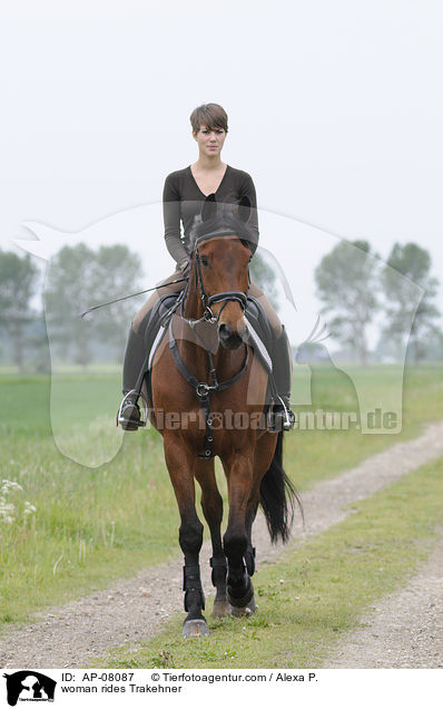 woman rides Trakehner / AP-08087