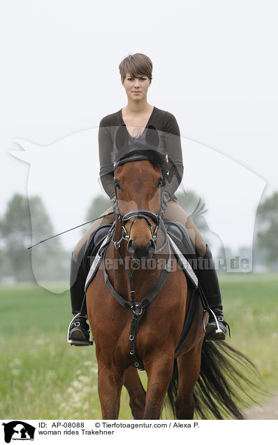 woman rides Trakehner / AP-08088